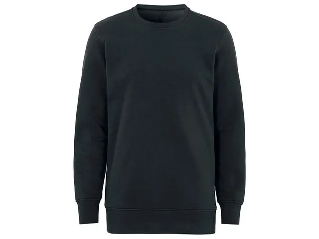 Steeve Regular Sweatshirt BLACK XS