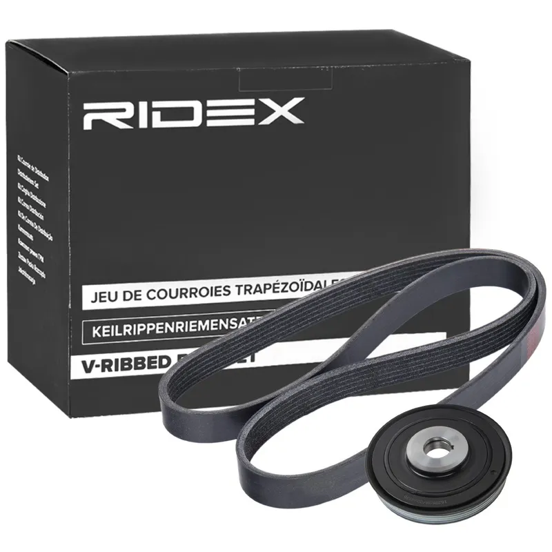 Drivremssats RIDEX 542R1062