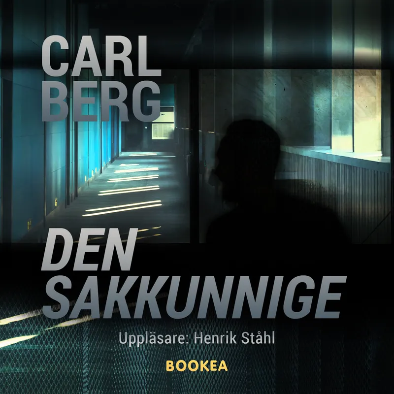 Den sakkunnige, Ljudbok