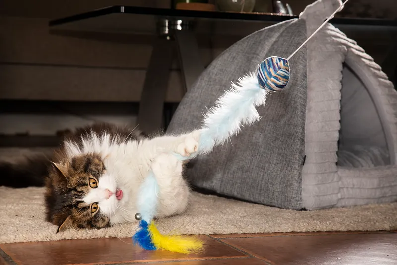 Dogman Toy Cat Teaser Fuzzy Blue