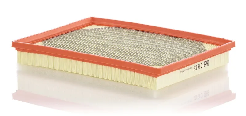 Luftfilter MANN-FILTER C 36 172