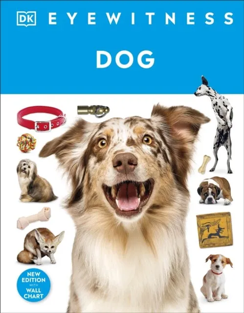 Eyewitness Dog