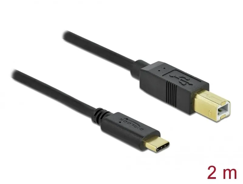 Delock - USB-kabel - USB-C (hane) till USB typ B (hane) - USB 2.0 - 3 A - 2 m - svart