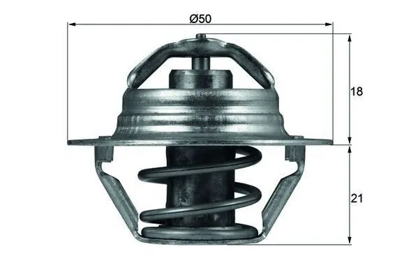 Termostat, kylvätska MAHLE TX 100 89D