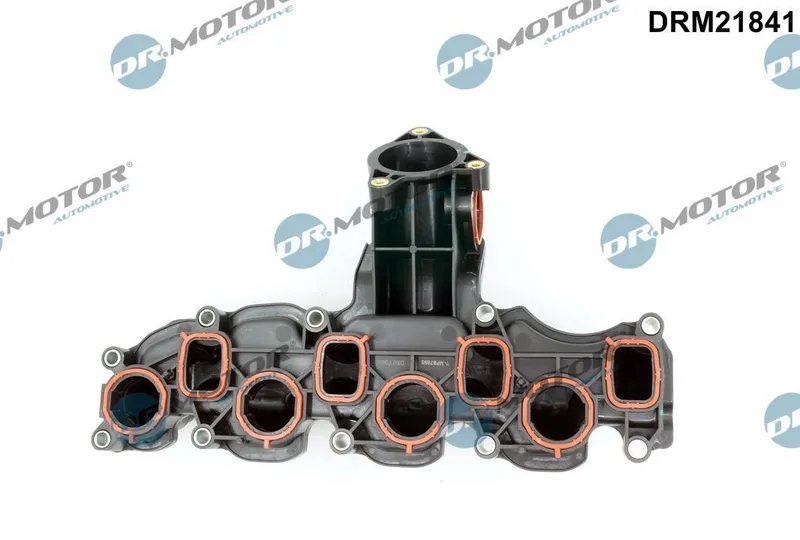 Insugsgrenrör DR.MOTOR AUTOMOTIVE DRM21841