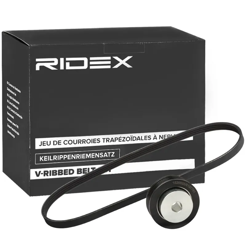 Drivremssats RIDEX 542R0272