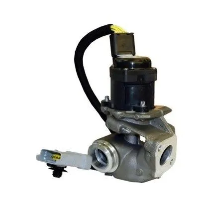 Egr-Ventil Magneti Marelli 571822112031