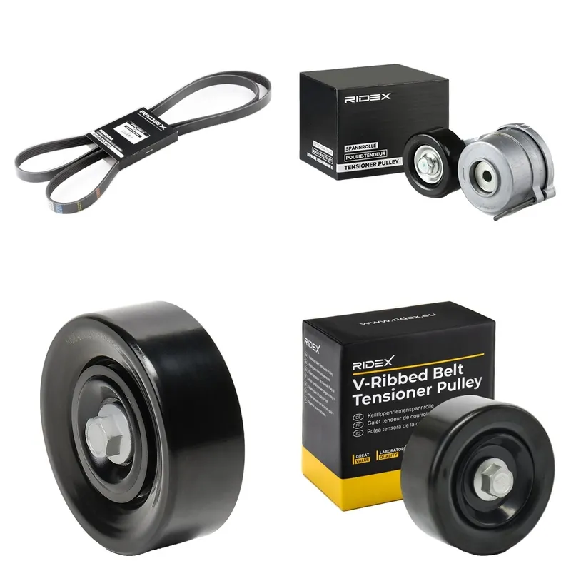 RIDEX 542R1075 Drivremssats