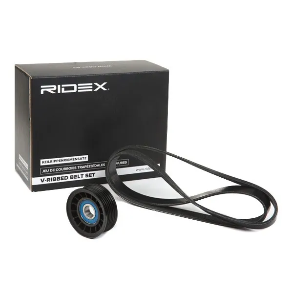 Drivremssats RIDEX 542R0798