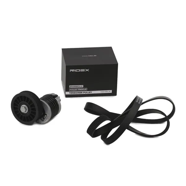 RIDEX 542R0418 Drivremssats