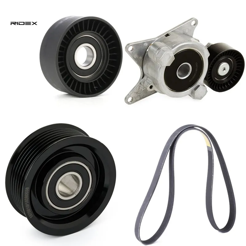 Drivremssats RIDEX 542R0573