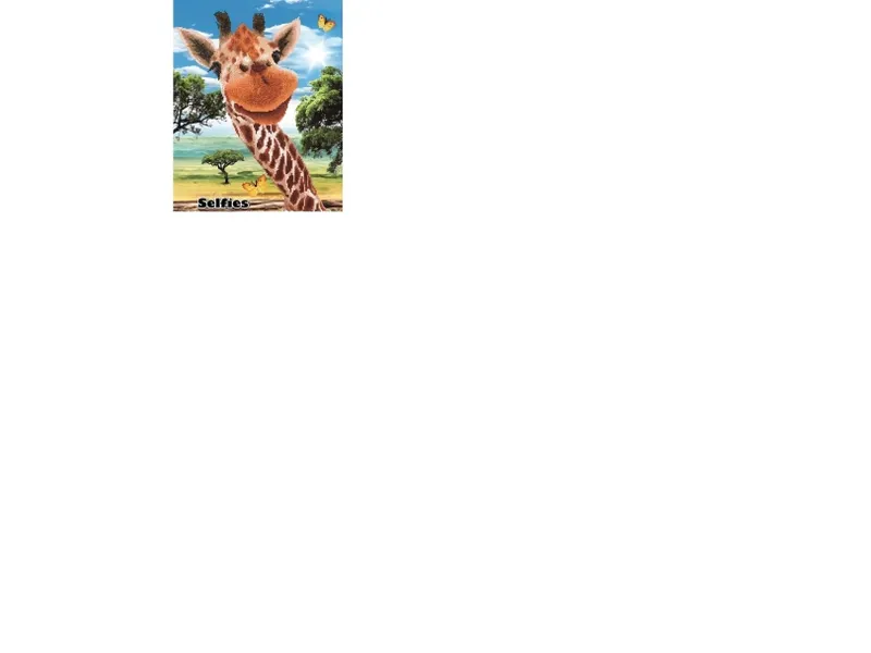 Diamond Dotz 52 x 42 cm – Giraff