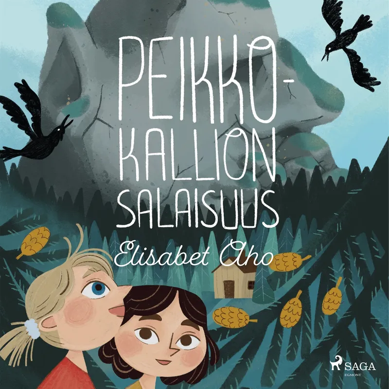 Peikkokallion salaisuus, Ljudbok