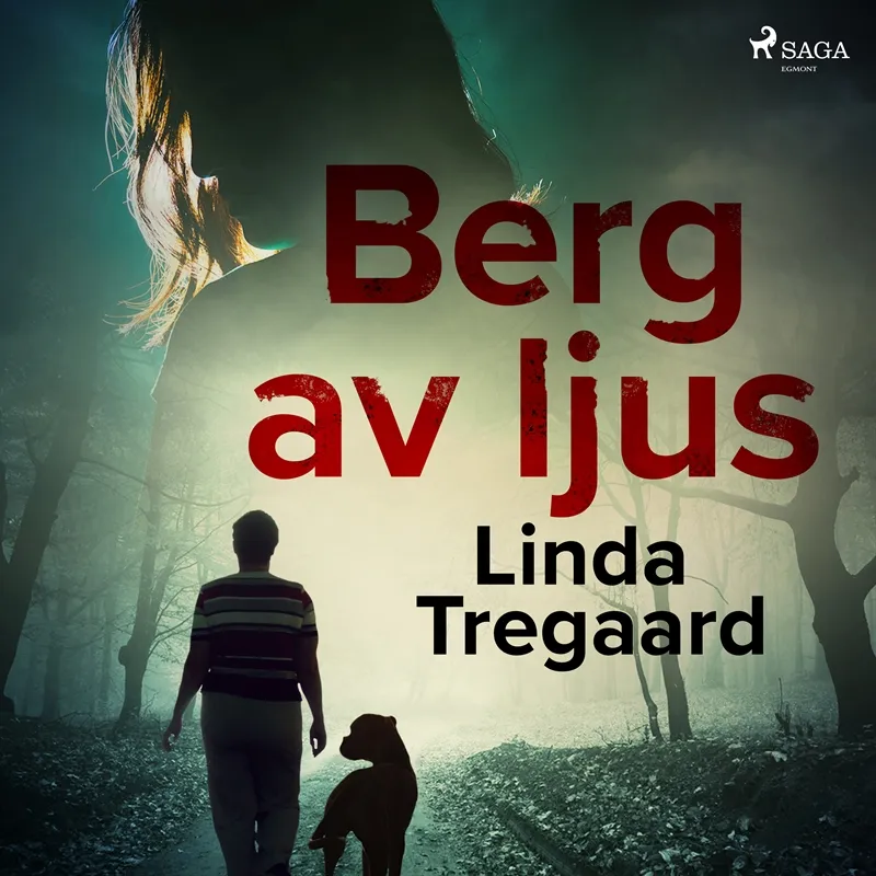Berg av ljus, Ljudbok