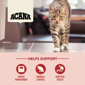 Adult Indoor Entrée Torrfoder till Katt - 4,5 kg