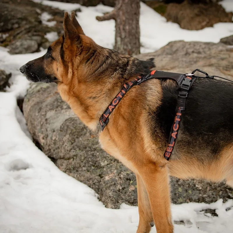 Feel Active Outdoor Hundsele med Ficka Svart