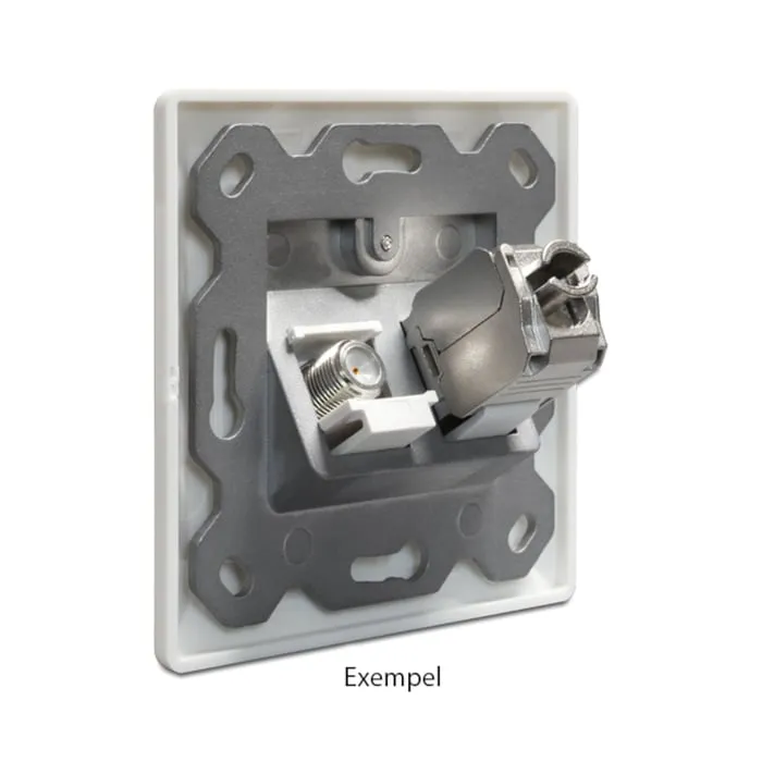 Delock 2 Port Keystone Vägguttag