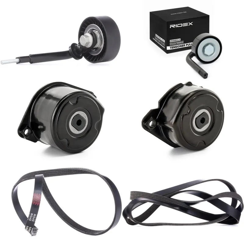 RIDEX 542R0345 Drivremssats