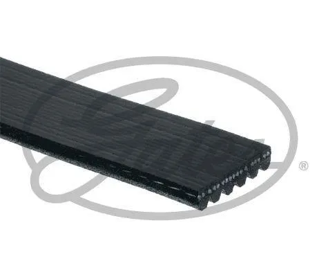 Multirem GATES 6PK1061EST