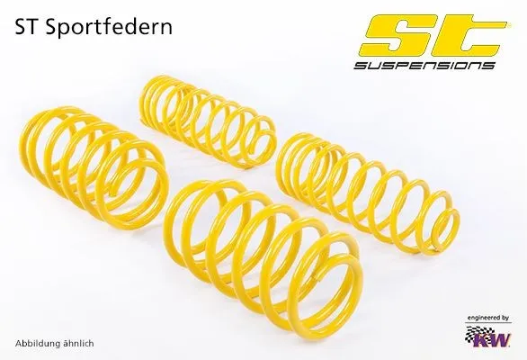 Upphängningssats, spiralfjädrar STsuspensions 28230046