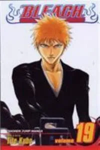 Bleach, Vol. 19