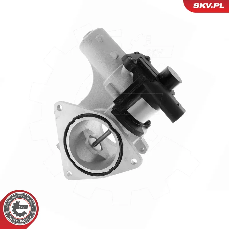 EGR-ventil ESEN SKV 14SKV320