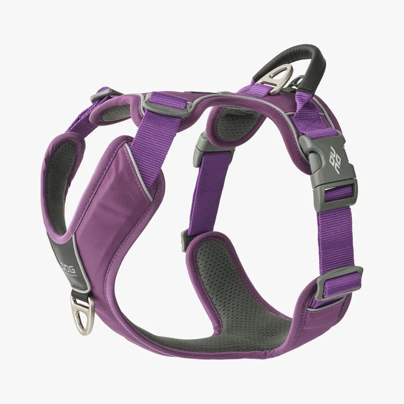 Comfort Walk Pro Hundsele - XS / Purple Passion