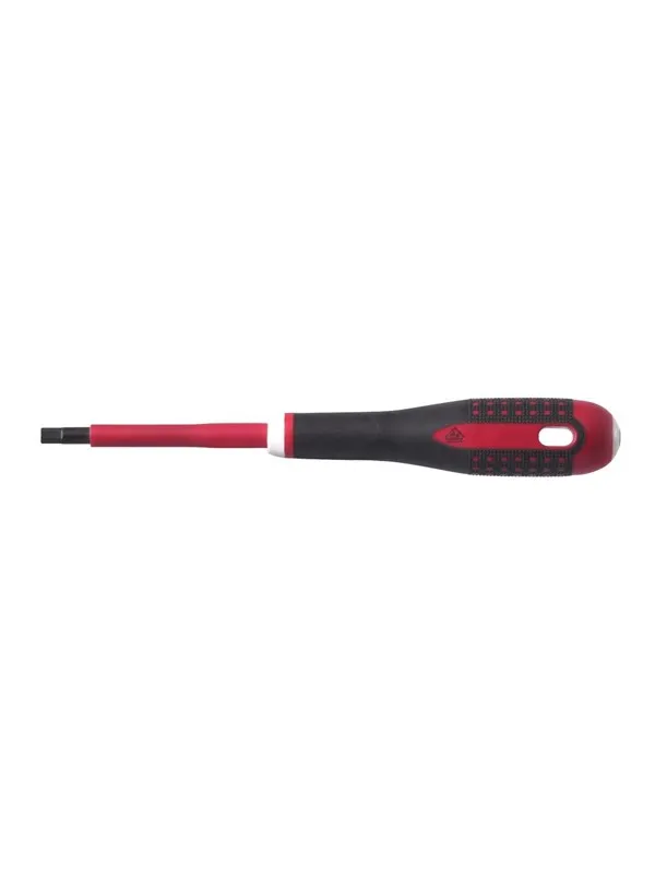 BAHCO Screw.dr ergo iec hex 2.5×75