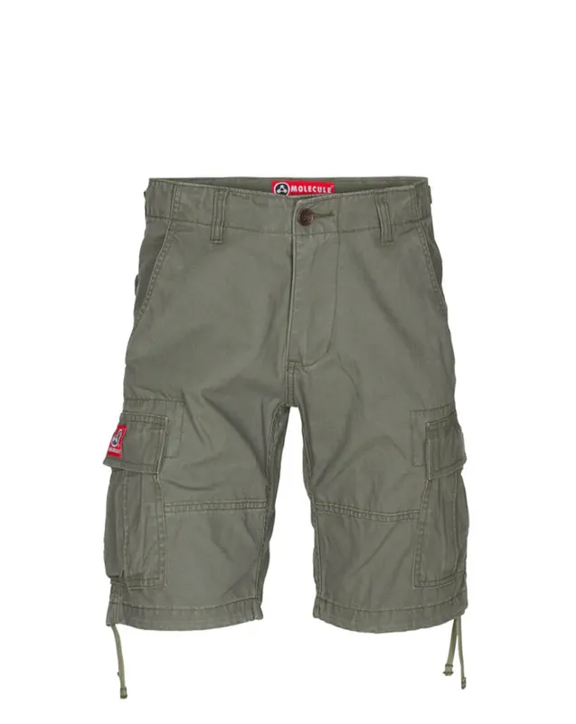 Molecule Shortcuts Shorts (Above knee) Oliv