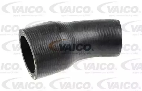 VAICO V20-2968 Laddluftslang