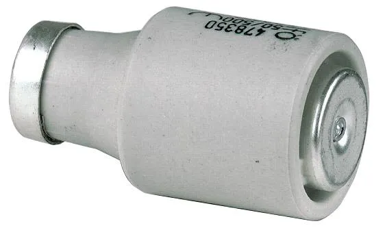 Ifö Electric 4020111202 Säkring 5-pack, 500 volt Vit, 50A