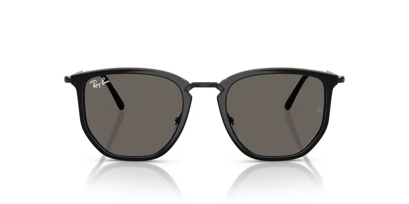 Ray-Ban 0RB4451 Solglasögon -
