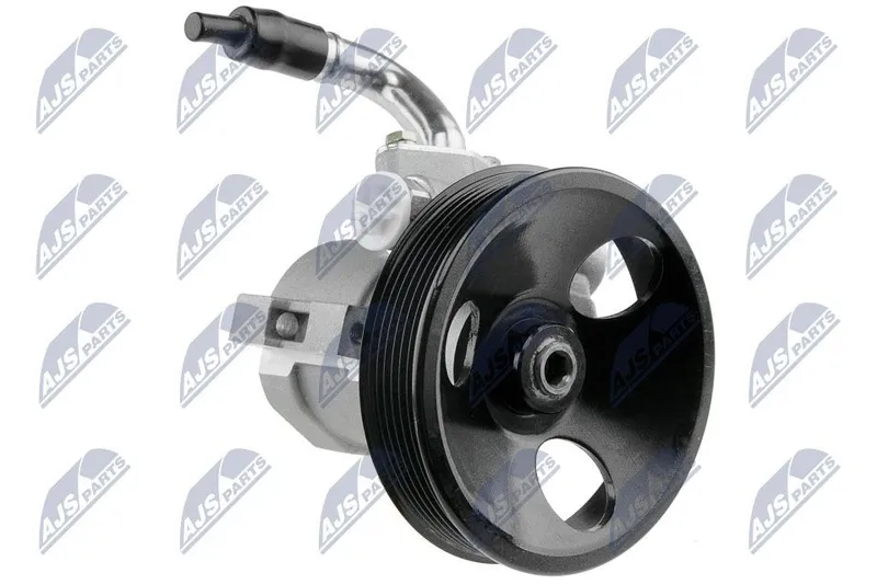 Servopump NTY SPW-PL-002