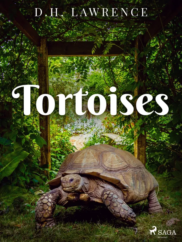 Tortoises, E-bok