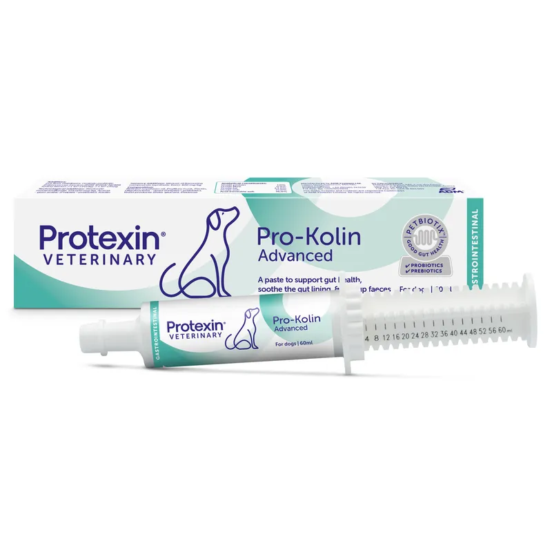 Kosttillskott Protexin Pro-Kolin Advanced Hund 60 ml