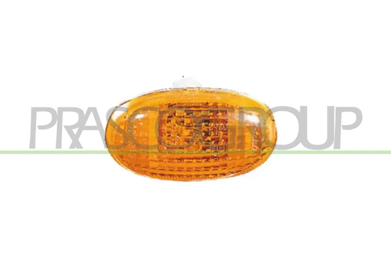 Blinker PRASCO DW3204139