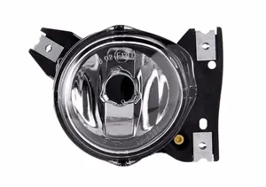 Dimljus TYC 19-0295-05-2