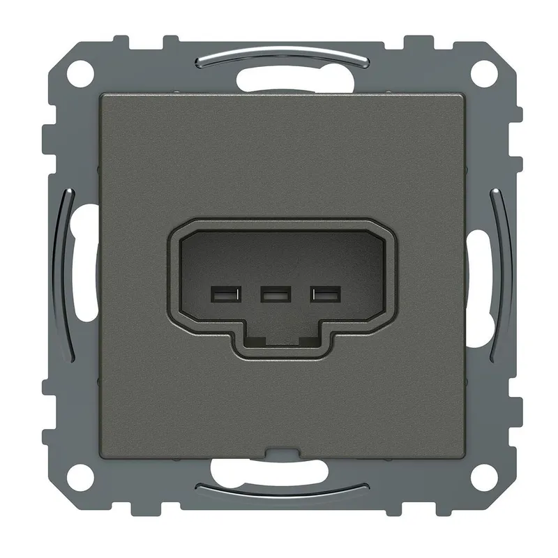 Schneider Electric Exxact WDE005011 Lamputtag DCL, 1-vägs, 2-pol, jordat, för dosa