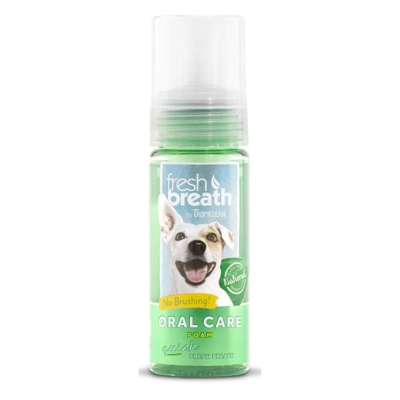 Oral Care Mint Foam 133ml