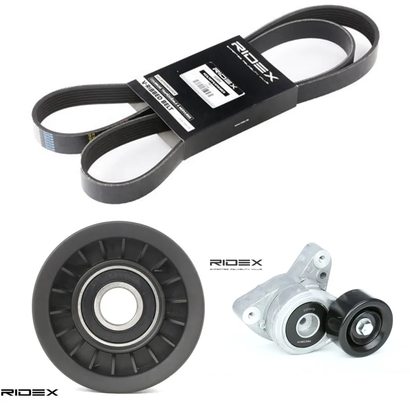 Drivremssats RIDEX 542R0474