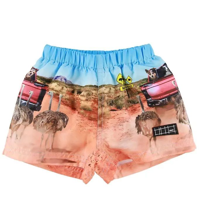 Molo Badshorts – Newton – I busken