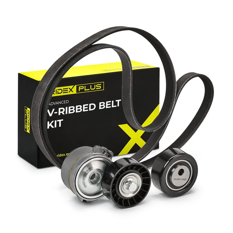 Drivremssats RIDEX PLUS 542R0002P