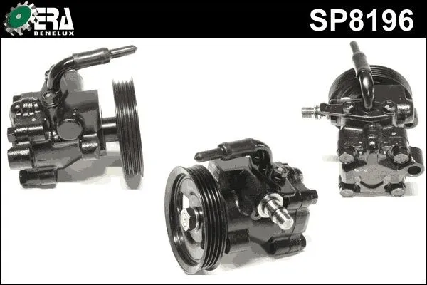 Servopump ERA Benelux SP8196