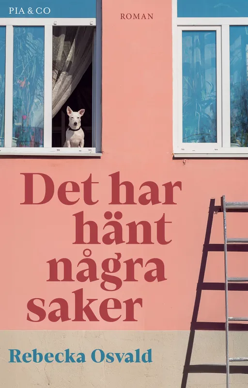 Det har hänt några saker, E-bok
