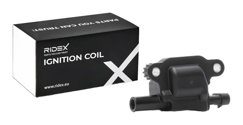 Tändspole RIDEX 689C0491