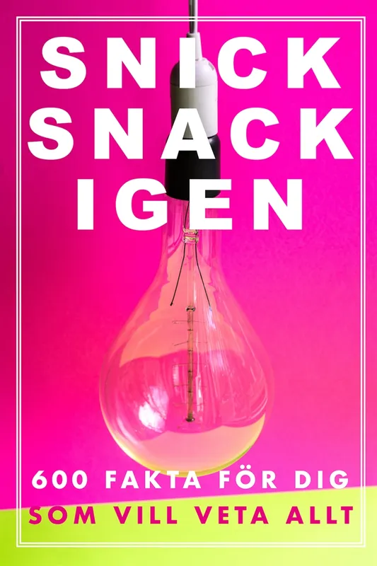 Snick Snack Igen (Epub2), E-Bok