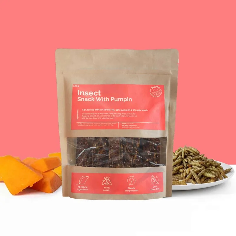 Insect Snack With Pumpkin 10x100g