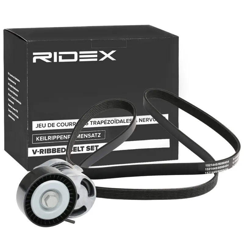 Drivremssats RIDEX 542R0751