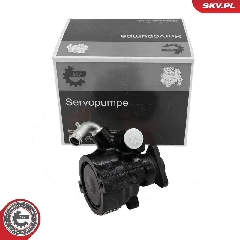 Servopump ESEN SKV 10SKV331