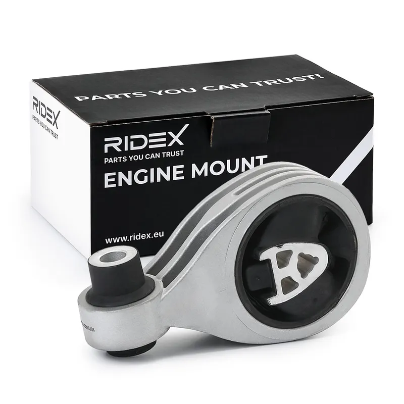 Motorkudde RIDEX 247E0708